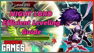 Night Lord's Guide for Leveling Most Efficiently