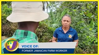 Former Jamaican Farm Worker Speak Out on Harsh Conditions at Some Farms in Canada | TVJ All Angles