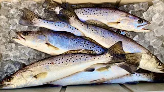 Catching Speckled Trout on LA-1, Grand Isle!!