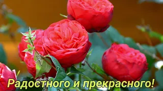 С Добрым Утром!Красивая Музыкальная Открытка с Пожеланиями!