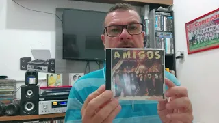 coleção cds amigos Zezé di Camargo e Luciano Leandro e Leonardo e Chitãozinho e Xororó