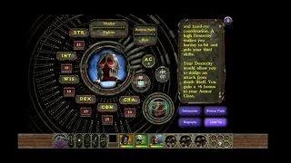 Vhailor soloing the final boss in Planescape Torment EE