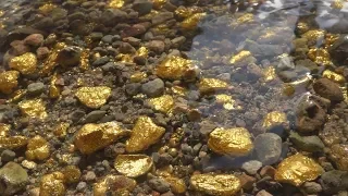 There's So Much Gold, That it's Impossible To Collect.