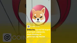 Shiba Inu “úp mở” kế hoạch phát hành stablecoin, token thưởng và game sưu tập thẻ bài #shibainu