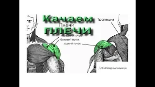 День 14, КАК правильно прокачать ПЛЕЧИ!/365 дней от Серого/