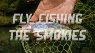 Fly Fishing the Smoky Mountains with Tennessee Valley Anglers