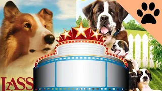 Top 5 Most Famous Dogs - Lassie, Beethoven and more