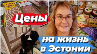 Жизнь в Эстонии.Цены в Эстонии на продукты.Сколько стоит жить в Таллинне.Обзор товаров из Лидл.Влог