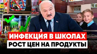 ВСПЫШКА КИШЕЧНОЙ ИНФЕКЦИИ. Инфляция набирает обороты. Лукашенко спаивает беларусов