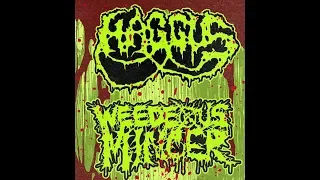 Haggus / Weedeous Mincer - Split (2019) Full Album HQ (Mince/Goregrind)
