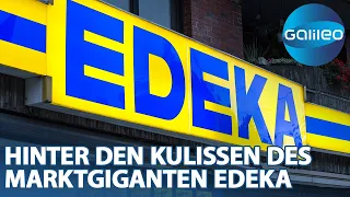 Der größte private Arbeitsgeber Deutschland: Wie funktioniert das System von Edeka?
