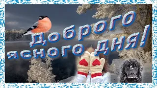 Доброго зимнего ясного  дня!  Красивая  музыкальная открытка с пожеланиями.