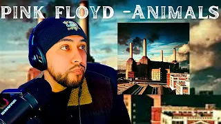 FIRST TIME Hearing PINK FLOYD- Animals (Full Album) REACTION!!!