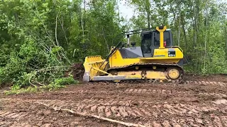 Розліснення поля від чагарників та дрібних кущів бульдозером Komatsu D65 з  викорчовувачем  дерев