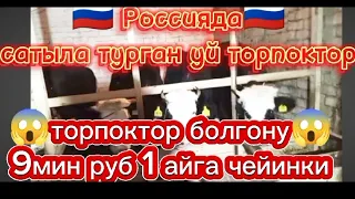 🇰🇬🇷🇺Россия 🇷🇺 🇰🇬 Тверская область. 🐑  🐂Сатыла турган торпоктор 3-серия.