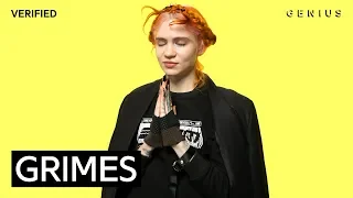 Grimes "My Name Is Dark" Official Lyrics & Meaning | Verified