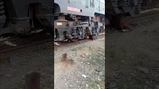 train accident in Sialkot with cow