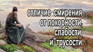 Отличие смирения и послушания от трусости, слабости и покорности