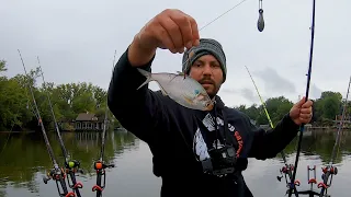 Catfishing For BIG Fall Flatheads!