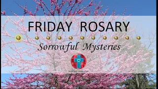 Friday Rosary • Sorrowful Mysteries of the Rosary 💜 May 17, 2024 VIRTUAL ROSARY - MEDITATION