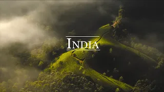 Welcome to India ! [CINEMATIC TRAVEL FILM]