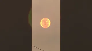 Red Giant Sun