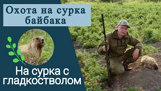 Охота на сурка байбака | На сурка с гладкостволом | Охота на сурка в Алтайском крае