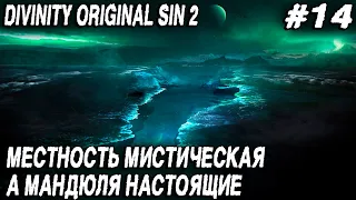 Divinity Original Sin 2 - прохождение. Дядя шляется хрен пойми где и получает за это по мордяке #14