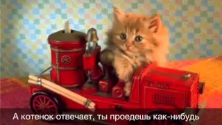 Котёнок и паровоз (песня для малышей)