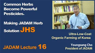 JADAM Lecture Part 16. Common Herbs Become Powerful Pesticides. Making JADAM Herb Solution JHS.