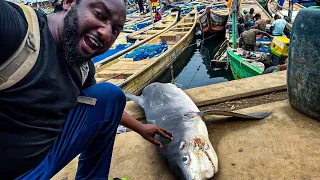 Seeing Shark And Flying Fish For The First Time - Togo 🇹🇬 New Fishermen Sea Port - Togo 🇹🇬 Ep 5