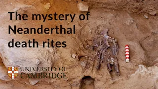 The mystery of Neanderthal death rites