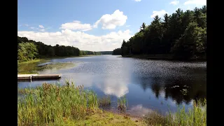 Black Moshannon State Park - Charting a course through wilderness and wetlands