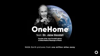 OneHome feat. Dr. Jane Goodall (4k)