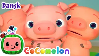 Tre grise små | Three Little Pigs | klassiske børnerim | CoComelon Dansk