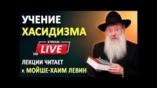 Зачем Б-гу свобода выбора человека? | Основы хасидизма | Евреи Хасиды |  Иудаизм | Тора