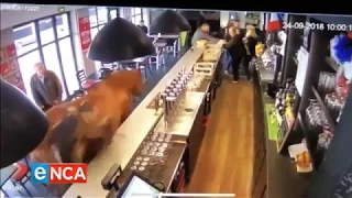 Patrons at a French cafe had to run for cover when they spotted a galloping surprise