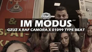 RAF Camora x Gzuz x 01099 House type Beat "Im Modus" (prod. by Tim House x TinoBeats)