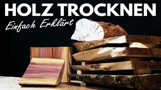 Frisches Holz richtig trocknen - Tipps zur Holzfeuchte und Lagerung