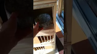 Гнездовой ящик для голубей, для паровки голубей