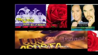 Poemas de los acosta temerarios y bryndis