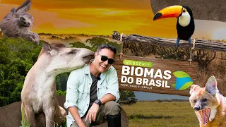 BIOMAS do BRASIL | Websérie | Prof. Paulo Jubilut