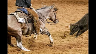 NATIONAL CUTTING HORSE ASSOCIATION •  NATIONAL CUTTING FINALS