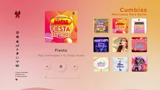 Grupo Audaz De Rigo Domínguez  y Sus Amigos - Cumbias Mexicanas Para Bailar (Mix)
