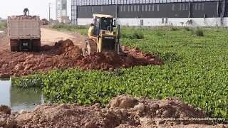 Operator Skill Shantui DH17 B2 Bulldozer Pushing Soil And Dump Trucks Dumping Soil Build New Road