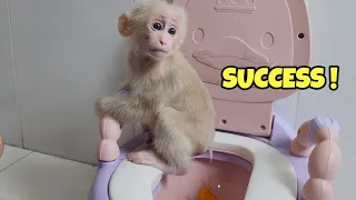 Baby Monkey SUGAR New Achievement - Poop in Toilet