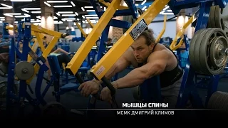 Тренировка мышц спины. Дмитрий Климов.