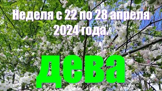 Неделя с 22 по 28 апреля 2024 года.ДЕВА♍️