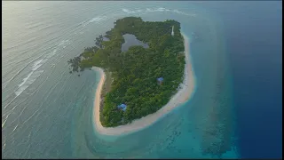 Apo Reef 2022 with Campfreedive