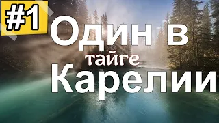 Жизнь в тайге Карелии. Готовлю грибы, морошку. Рыбалка.